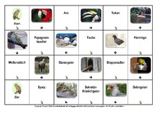 Domino-Vögel-4.pdf